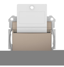 Вимикач картковий Schneider Electric SDN1900168 Sedna, титан, пластик, для врізного монтажу