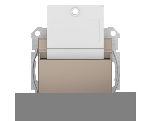 Вимикач картковий Schneider Electric SDN1900168 Sedna, титан, пластик, для врізного монтажу