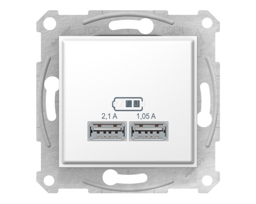 Розетка USB Schneider Electric SDN2710221 Sedna, білий, пластик, для врізного монтажу