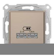 Розетка USB Schneider Electric SDN2710268 Sedna, титан, пластик, для врізного монтажу