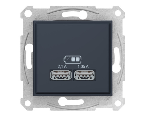 Розетка USB Schneider Electric SDN2710270 Sedna, графіт, пластик, для врізного монтажу