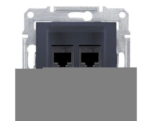 Розетка комп'ютерна Schneider Electric SDN4400170 Sedna, графіт, пластик, для врізного монтажу