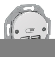 Розетка USB Schneider Electric WDE011760 Renova, білий, пластик, для врізного монтажу