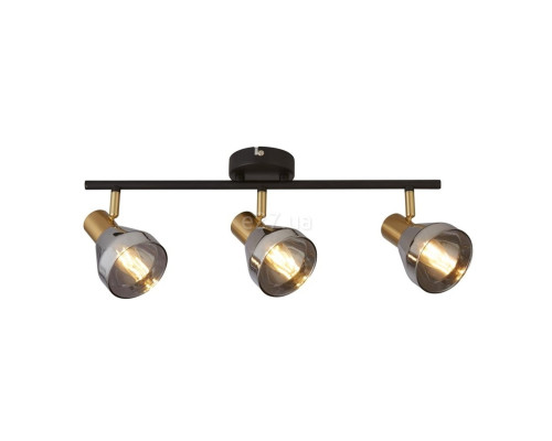 Спот Searchlight 23801-3SM 3LT