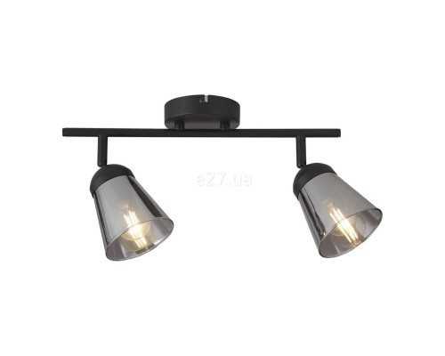 Спот Searchlight 61170-2SM 2LT