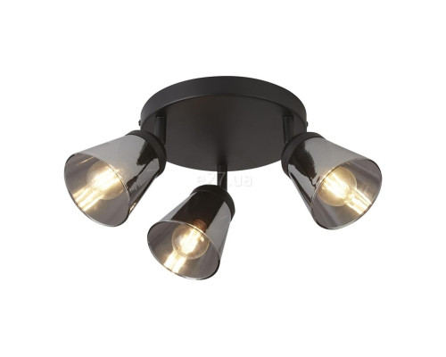Спот Searchlight 61170-3SM 3LT