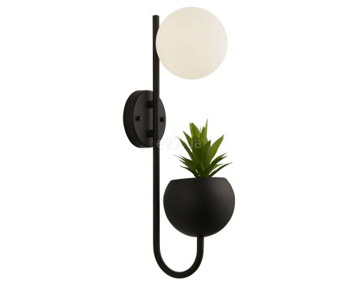 Бра Searchlight 61220BK x Lunar Wall Light - Black With Plant