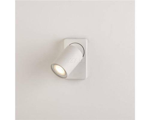 Спот Searchlight SP-MOO1-W Moon