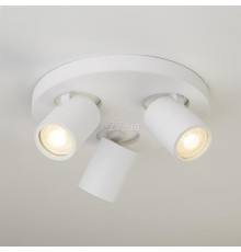 Спот Searchlight SP-SEL3R-W Selene