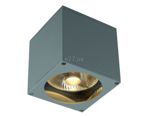 Настінний світильник SLV 229564 Big Theo Wall Out