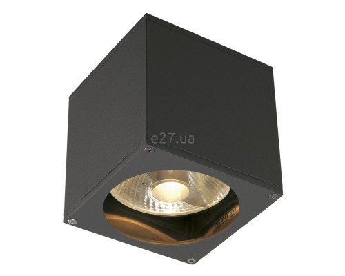 Настінний світильник SLV 229565 Big Theo Wall