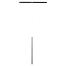 Трековий світильник TK Lighting 10818 Tracer Black · TK Lighting · tk-lighting-10818