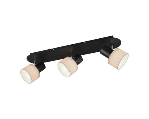 Спот Trio 803600332 Wailer