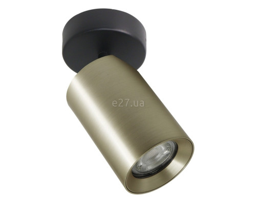 Спот Zuma Line TLS006-GLD Tore