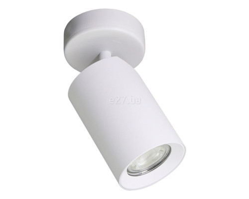 Спот Zuma Line TLS006-WH Tore