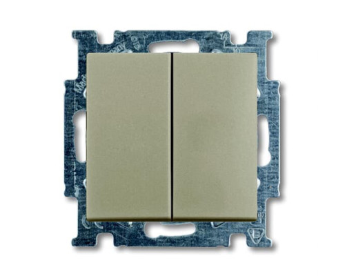 Двокнопковий вимикач ABB Basic 55 2CKA001012A2167 2006/5 UC-93-507 (шампань)