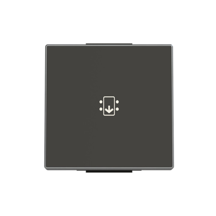 Клавіша карткового вимикача ABB серія Sky 2CLA851400A1501 8514 NS чорний оксамит · ABB · uk/klavisha-kartkovogo-vimikacha-abb-sky-2cla851400a1501-8514-ns