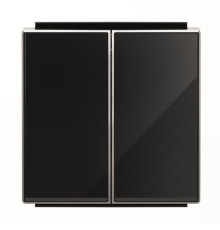 Подвійна клавіша вимикача ABB серія Sky 2CLA851100A2501 8511 CN чорне скло