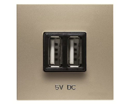 USB розетка ABB Zenit N2285 CV 2М (шампань)