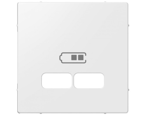 Merten System M для подвійної розетки USB 21А полярно-білий