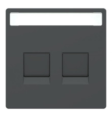 Лицьова панель Merten подвійний розетки RJ45 поле для написи захисні шторки антрацит