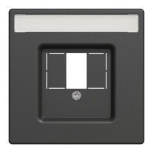 Лицьова панель Merten D-Life розетки TAE/Audio із полем для напису антрацит · MERTEN · uk/centralnaya-nakladka-merten-dlya-taeaudiousb-antracit-mtn425