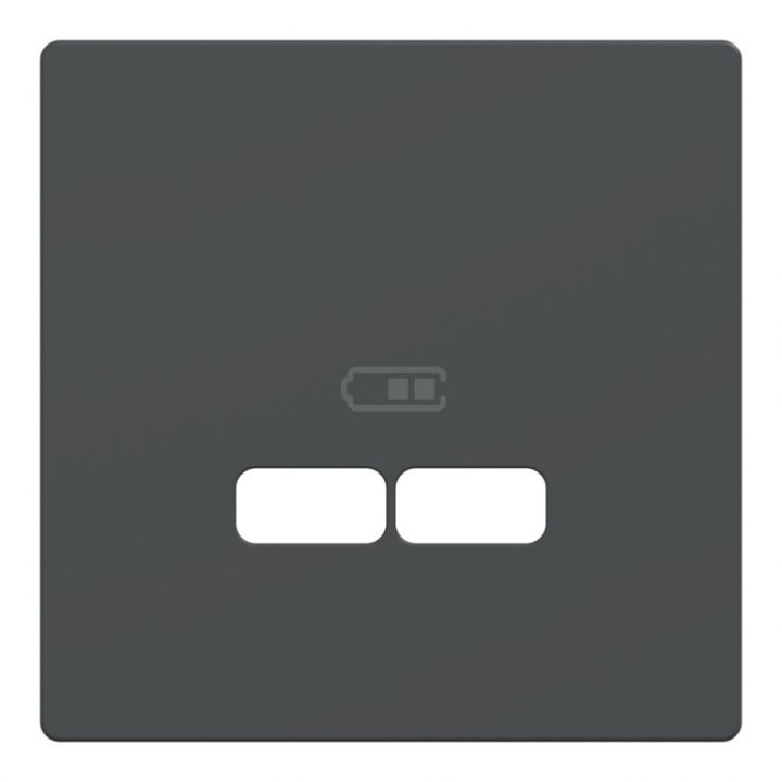 Лицьова панель Merten D-Life для розетки USB антрацит · MERTEN · uk/centralnaya-nakladka-merten-dlya-usb-mehanizma-21a-antracit