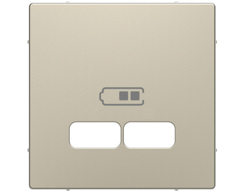 Лицьова панель Merten D-Life для USB-розетки цукру