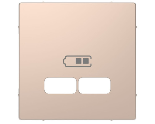 Лицьова панель Merten D-Life для розетки USB шампань