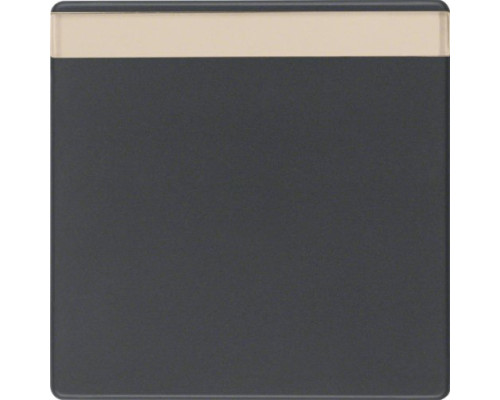 Клавіша Berker 1-пост з полем д/надпису, антрацит, Q.х