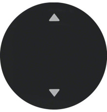 Клавіша 1-пост зі знаком 'Стрілки', чорна, R.x Berker 16202005