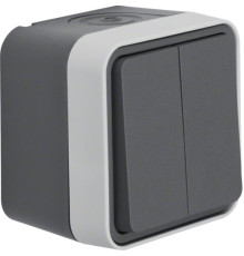 Кнопка 2-клавішна IP55 сірий 10АX/250В W.1 Berker (50753515)