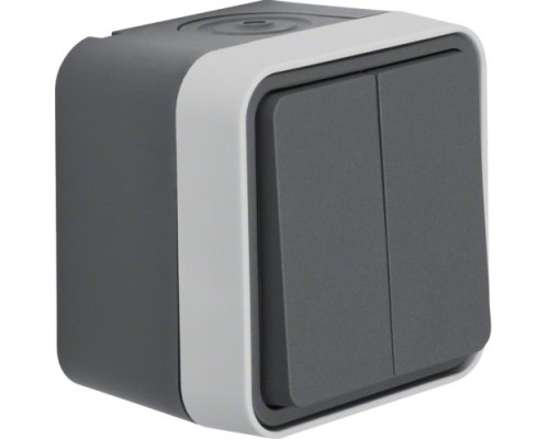 Кнопка 2-клавішна IP55 сірий 10АX/250В W.1 Berker (50753515)