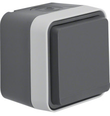 Розетка з з/к з зах.контактів IP55 сіра 16А/250В W.1 Berker (47633505)