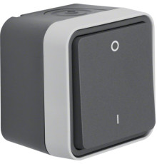 Вимикач 2-полюсний 0-І IP55 сірий 10АX/250В W.1 Berker (30723505)