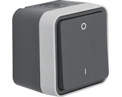 Вимикач 2-полюсний 0-І IP55 сірий 10АX/250В W.1 Berker (30723505)