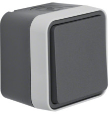 Вимикач хрестовий IP55 сірий 10АX/250В W.1 Berker (30773505)