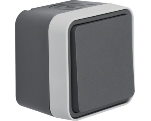 Вимикач хрестовий IP55 сірий 10АX/250В W.1 Berker (30773505)