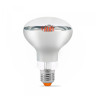 LED лампа VIDEX Filament R80FF 09W E27 1200K · VIDEX · 26413 — 2