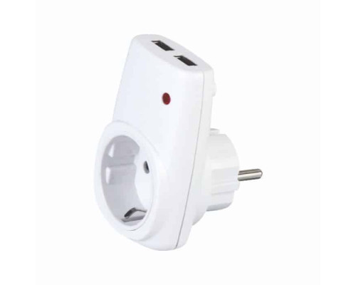 Розетка з заземленням + USB AXIS
