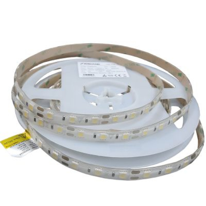 5050-60-IP65-CWd-10-12 RD6060AA 6500К · RISHANG · 13054