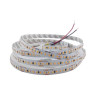 2835-168-IP20-WW-10-24 RV00G8TC-A 2700K · RISHANG · 18726