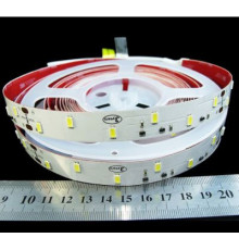 5630-48-IP33-CWd-16-24 R0B48CD 6500К