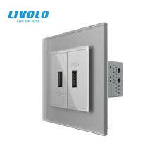 Розетка подвійна USB з блоком живлення LIVOLO сіра матова скло