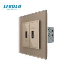 Розетка подвійна USB з блоком живлення LIVOLO золота матова скло
