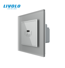 Розетка USB Type-C з Power Delivery 45W LIVOLO сіра матова скло