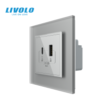 Розетка USB-A та USB-C з Power Delivery 36W LIVOLO сіра матова скло