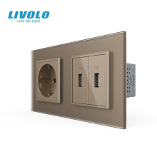 Розетка з заземленням з 2 USB розетками LIVOLO золота матова скло
