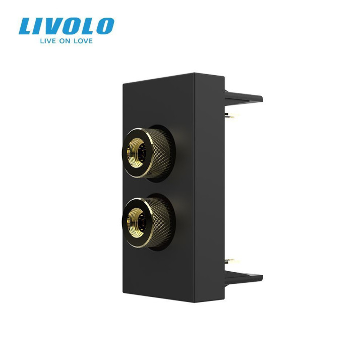 Аудіо розетка LIVOLO Banana Plug, чорна, для колонок / підсилювача, модуль 0.5 поста (VL-FCSD-1BP) · LIVOLO · VL-FCSD-1BP
