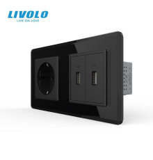 Розетка з заземленням з 2 USB розетками LIVOLO чорна 2.5D скло